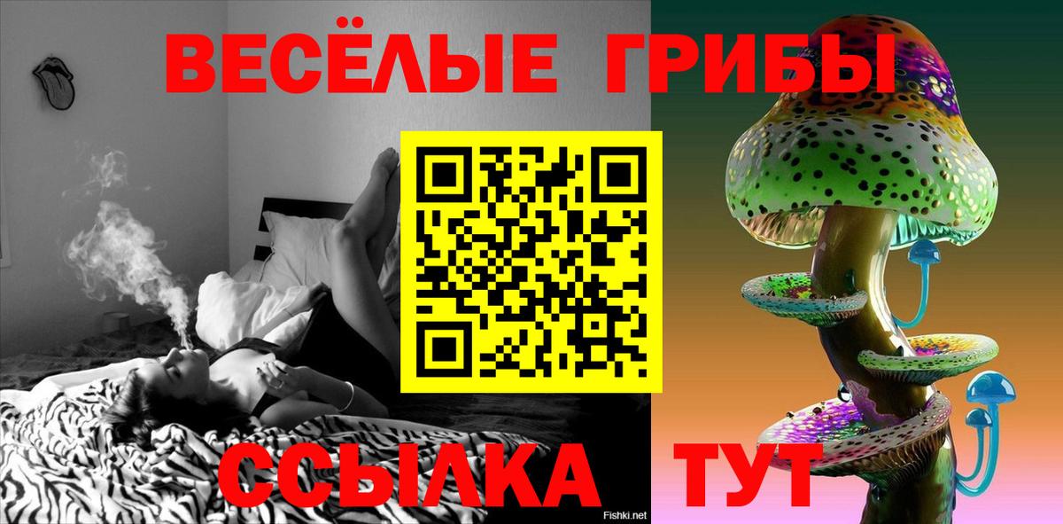 Галлюциногенные грибы мицелий  Вход с VPN  где можно купить   Надым 